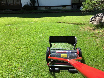 芝生の手入れ 城崎温泉 ときわ別館 公式サイト