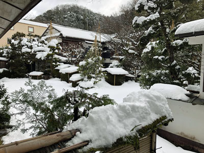 2月6日の中庭風景 城崎温泉 ときわ別館 公式サイト 2月6日の中庭風景 城崎温泉 ときわ別館 公式サイト